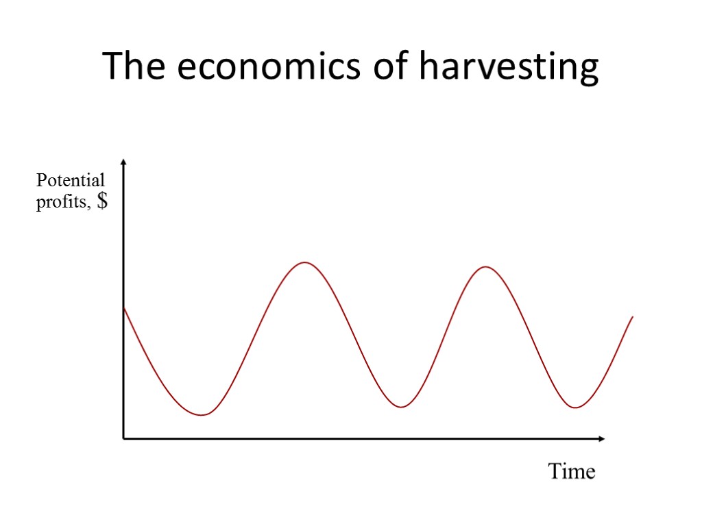 The economics of harvesting
